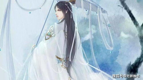 仙府修真小说 仙府修真 