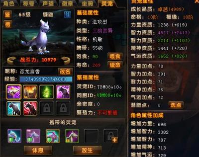 轩辕传奇药师宝石怎么镶嵌,轩辕传奇手游药师宝石选择