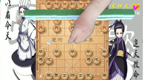飞行棋怎么玩视频教学,跳棋怎么玩教学视频