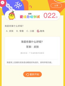 类似一站到底答题app,像一站到底的手机游戏